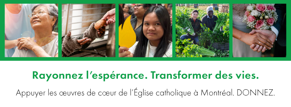 CCM_AnnualCampaign25_image-banniere-infolettreFRA Campagne annuelle 2024