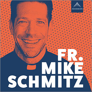 mike-schmitz-300x300